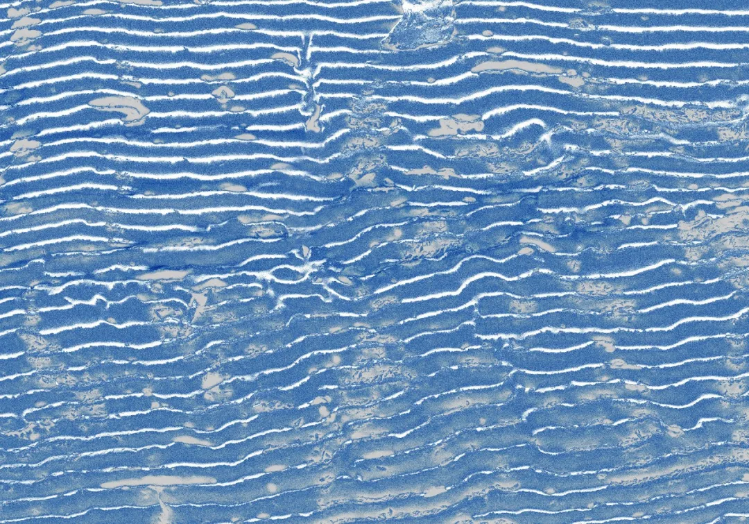 菲律宾欧博(ABG)官方网站